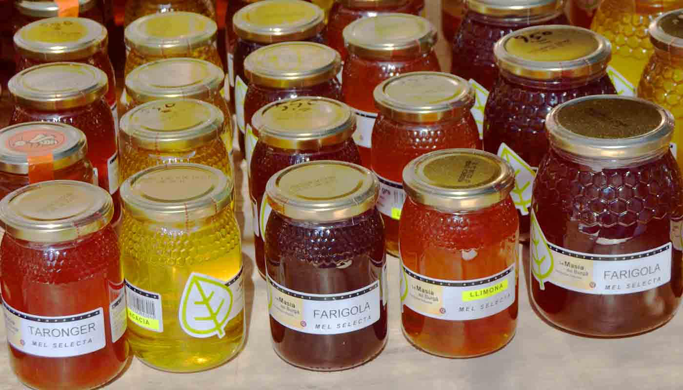 Dieta de la hibernación: el protagonismo de la miel - dietas milagro para adelgazar - coaching nutricional
