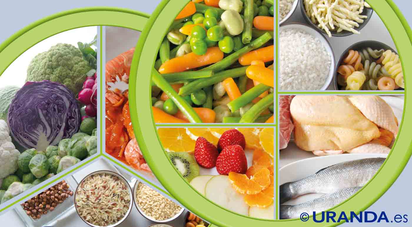 ¿Qué es el plato saludable y cómo funciona? - nutrición y alimentación saludable